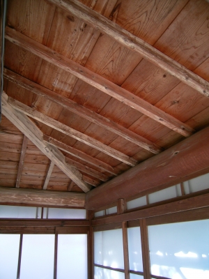ceiling         